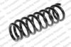 LESJ?FORS 4244219 Coil Spring